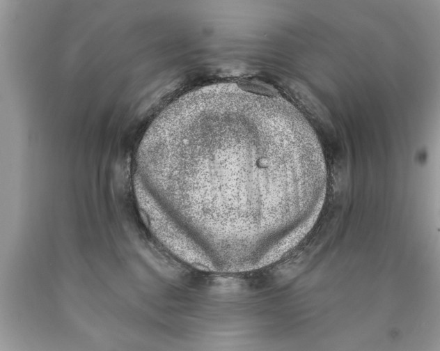 X0000089860376200707262133
