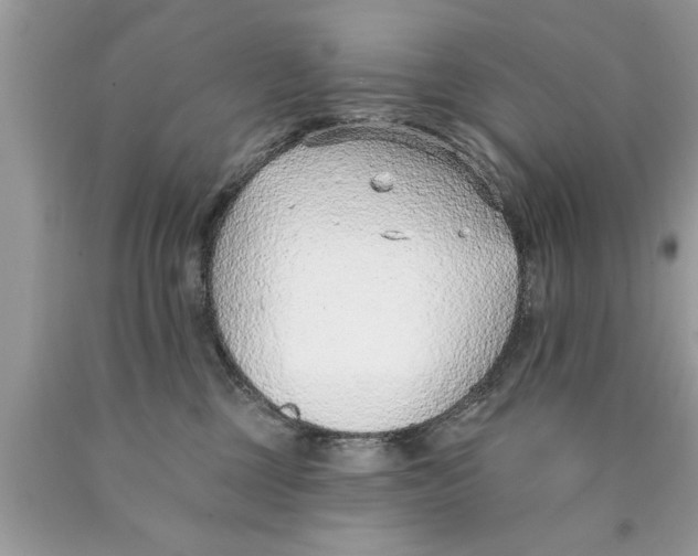 X0000089860377200707262133