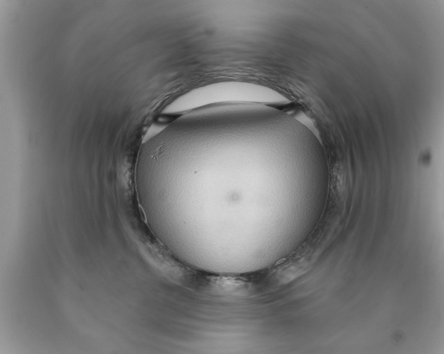 X0000089860380200707262133