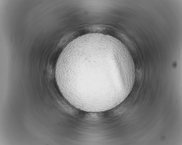 X0000089860381200707262133