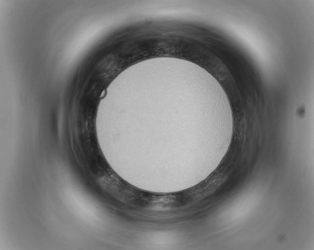 X0000089860382200707262133