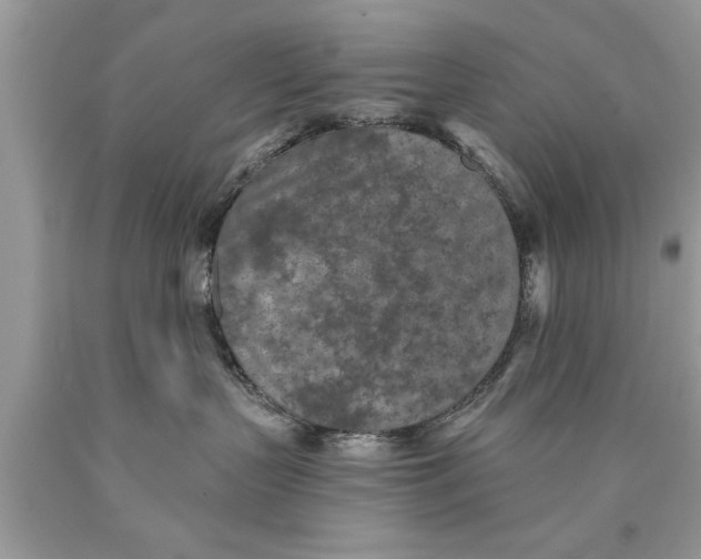 X0000089860383200707262133