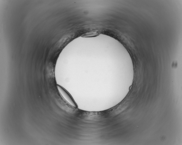 X0000089860384200707262133