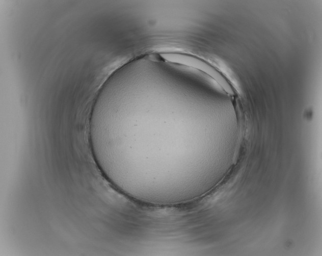 X0000089860385200707262132