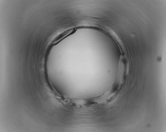 X0000089860387200707262132