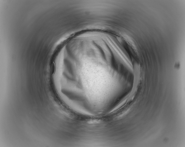 X0000089860388200707262132