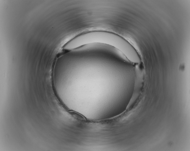 X0000089860389200707262132