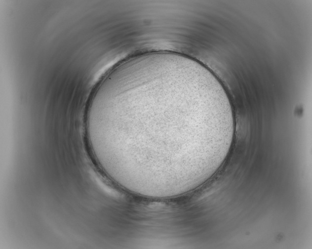 X0000089860390200707262132