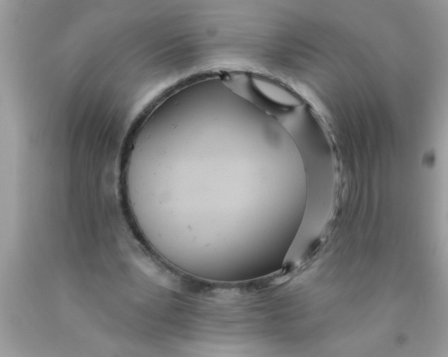 X0000089860391200707262132