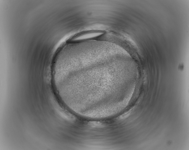 X0000089860392200707262132