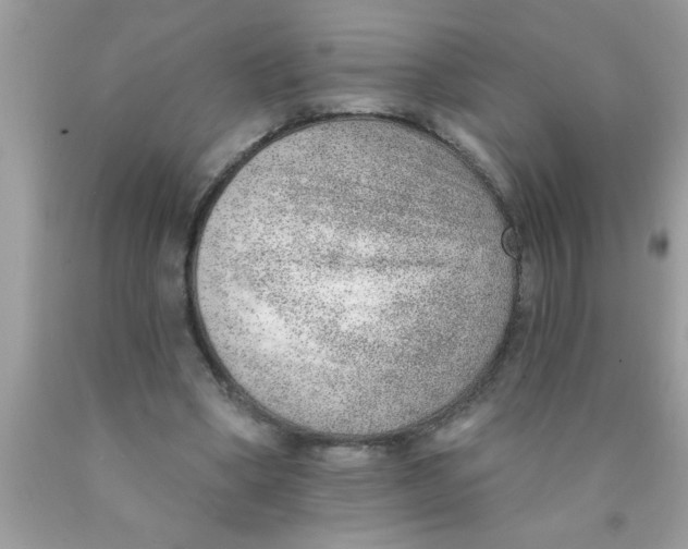 X0000089860394200707262132