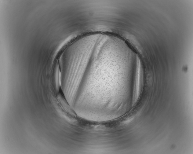X0000089860395200707262132