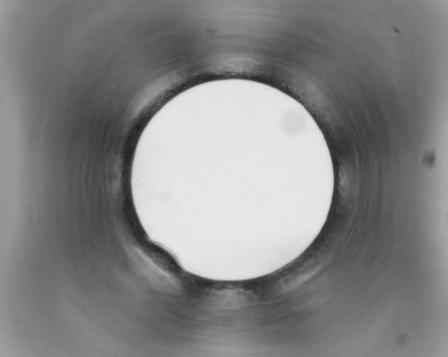 X0000089860396200707262132