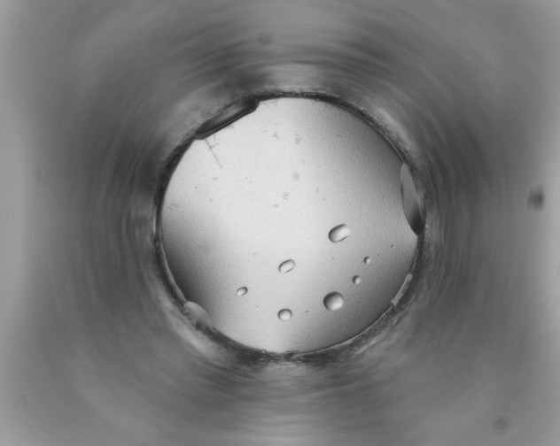 X0000089860397200707262132