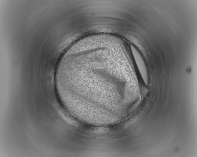X0000089860398200707262132
