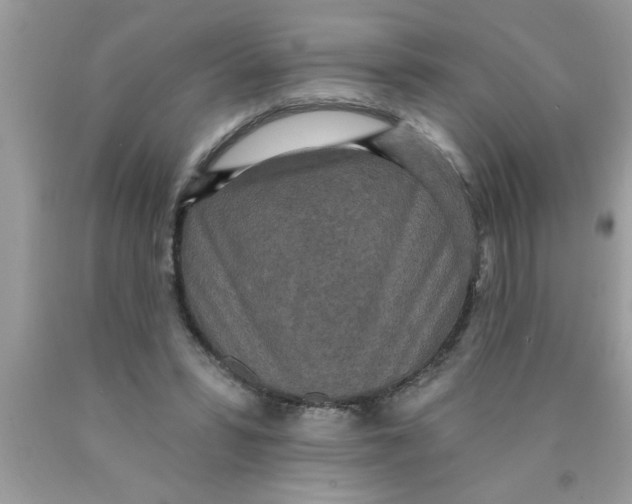 X0000089860399200707262132