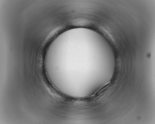 X0000089860400200707262132