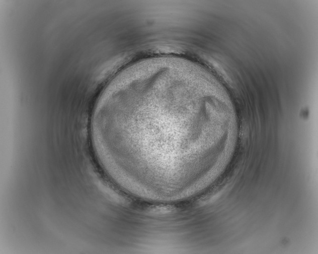X0000089860402200707262132