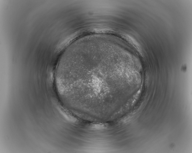 X0000089860405200707262132