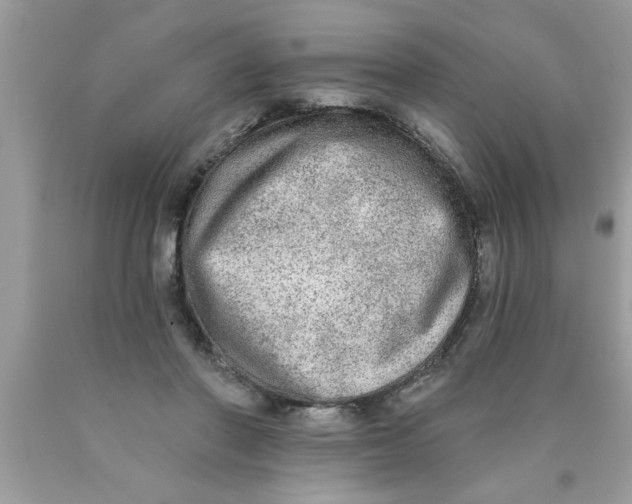 X0000089860406200707262132