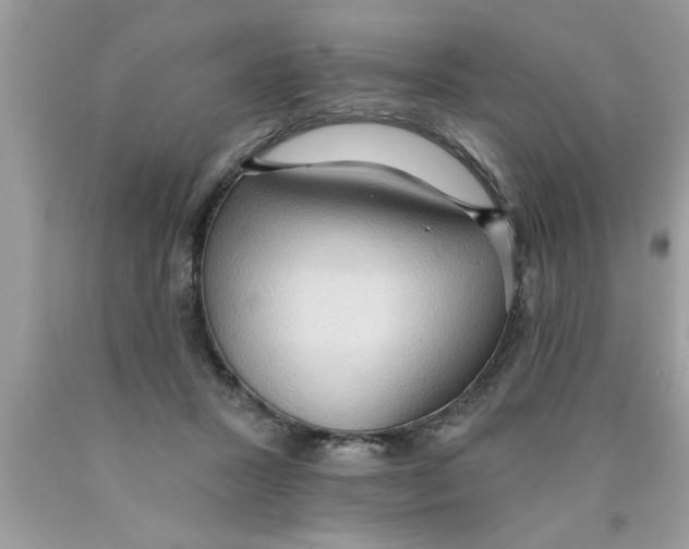X0000089860407200707262132