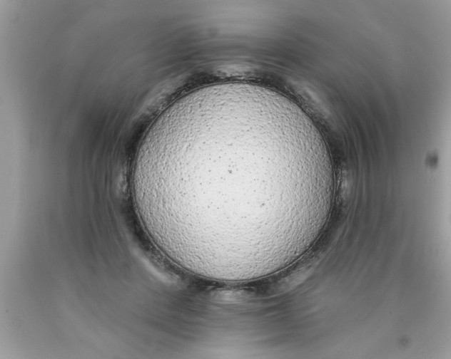 X0000089860408200707262132