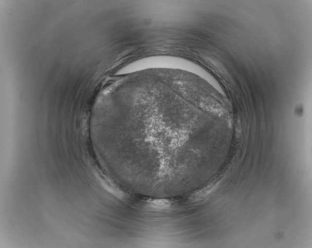 X0000089860409200707262132
