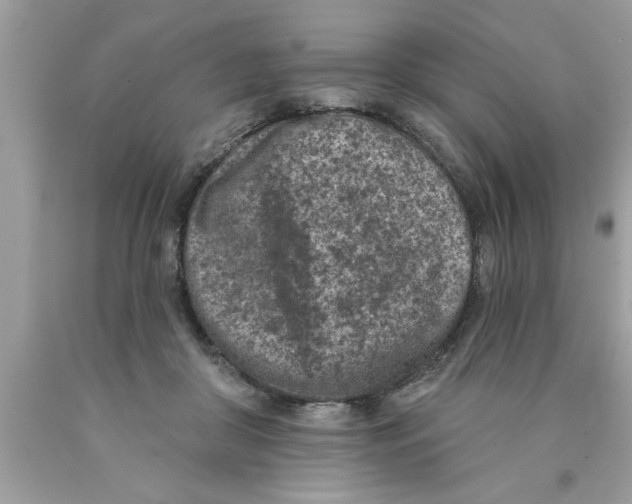 X0000089860410200707262132