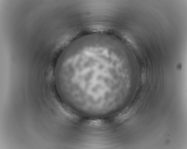 X0000089860411200707262132