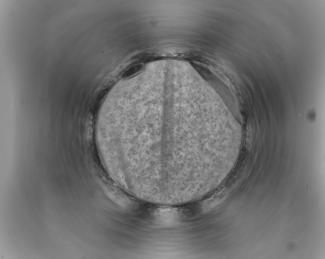 X0000089860413200707262132