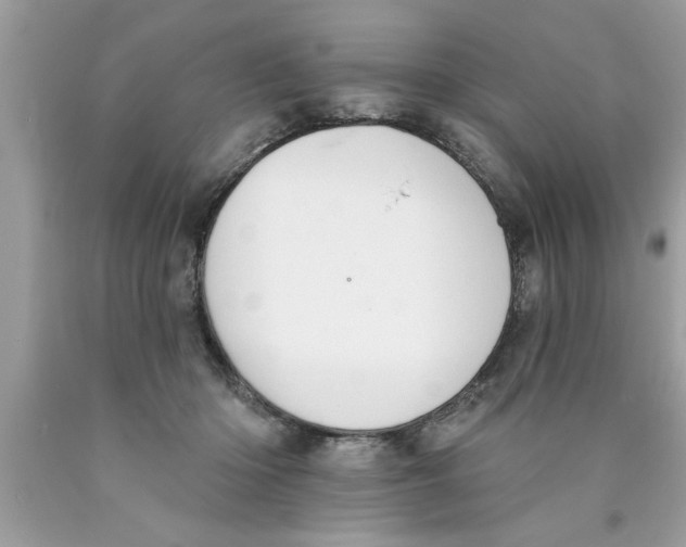 X0000089860414200707262132