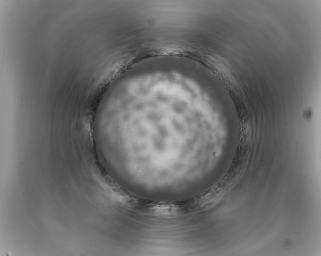 X0000089860415200707262132