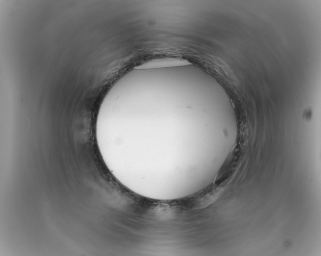 X0000089860416200707262132