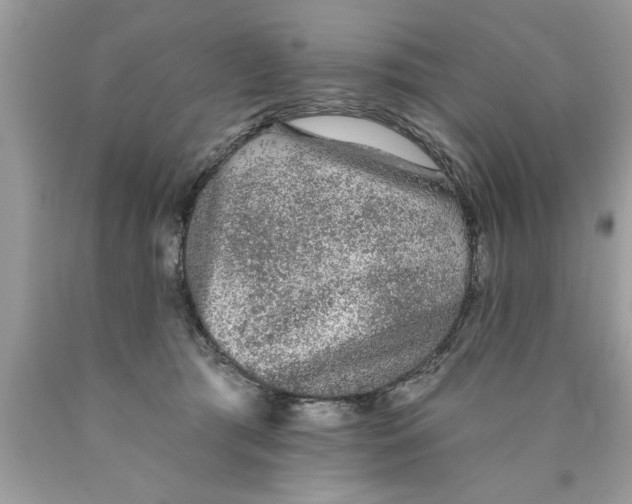 X0000089860417200707262132