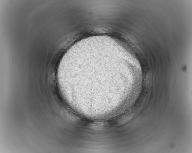 X0000089860418200707262132