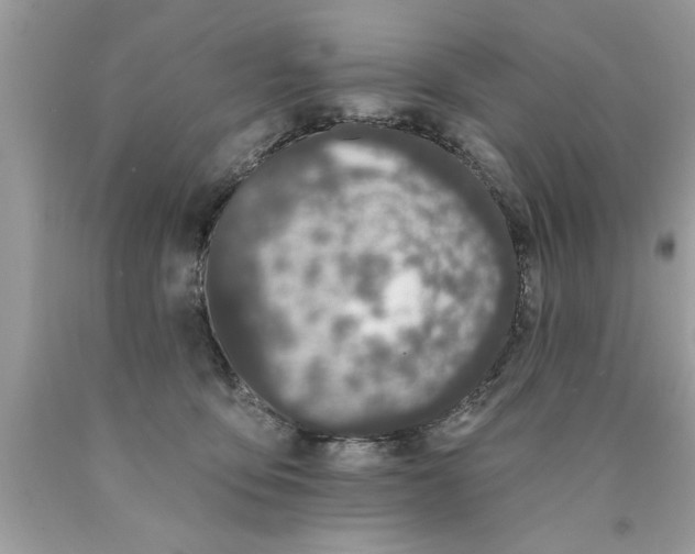 X0000089860419200707262132