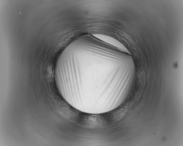 X0000089860420200707262132