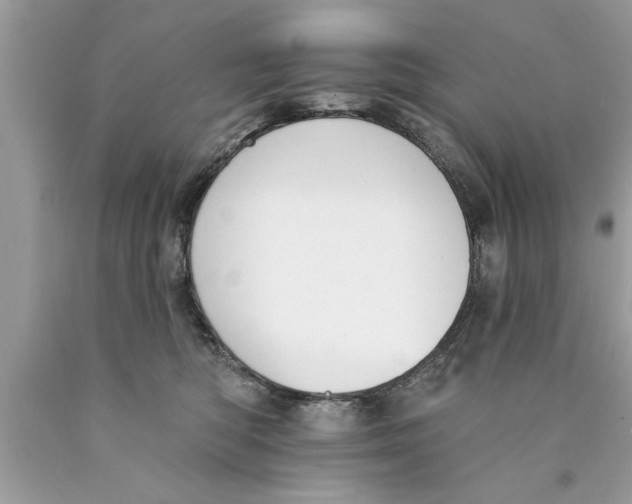 X0000089860422200707262132