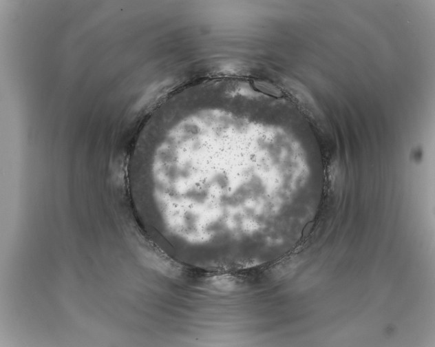 X0000089860423200707262132