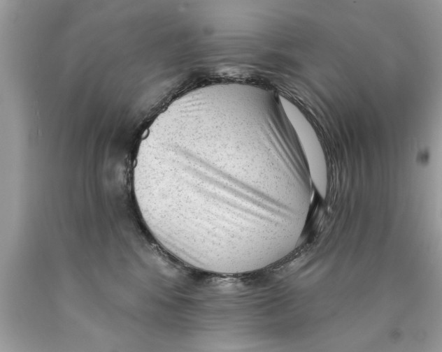 X0000089860424200707262132
