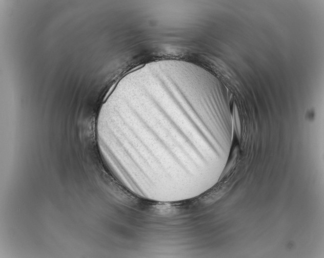 X0000089860425200707262132