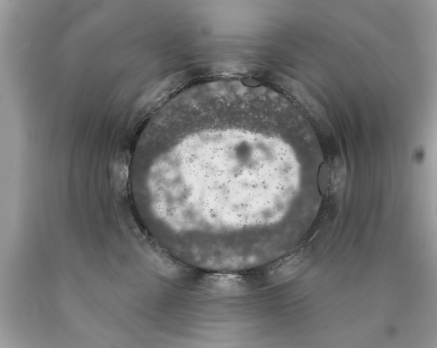 X0000089860427200707262132