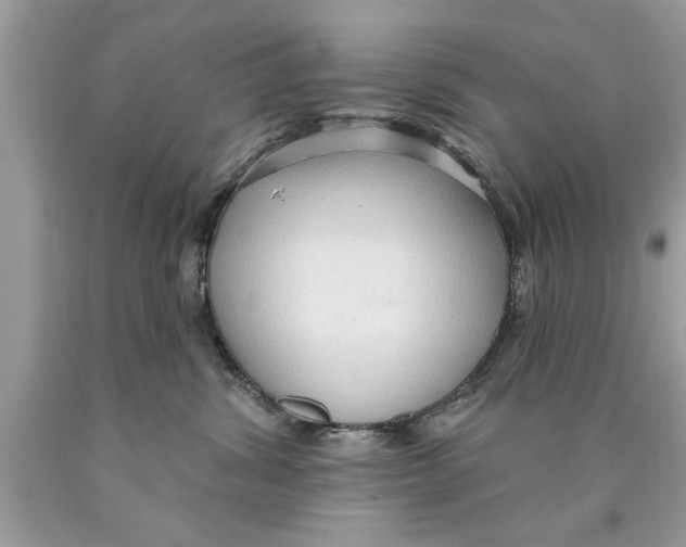 X0000089860428200707262132