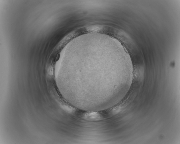 X0000089860431200707262132