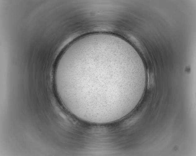 X0000089860435200707262131