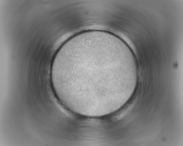 X0000089860437200707262131