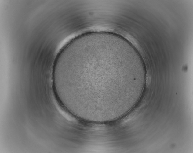 X0000089860438200707262131