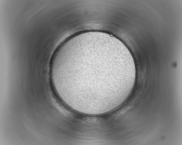 X0000089860439200707262131