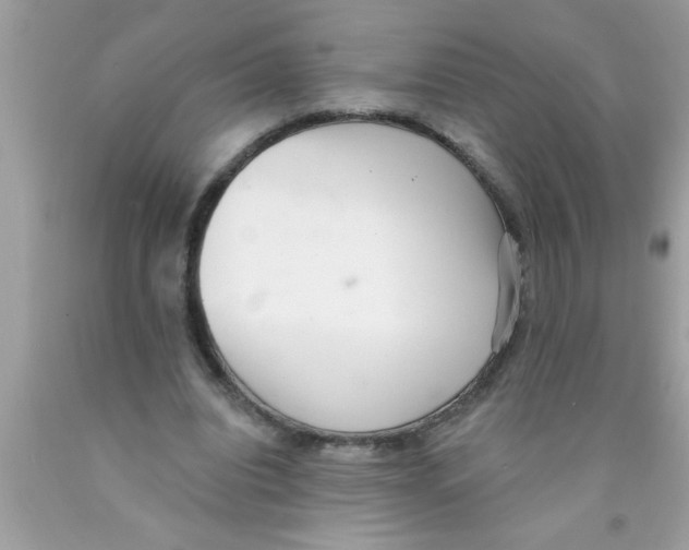 X0000089860440200707262131