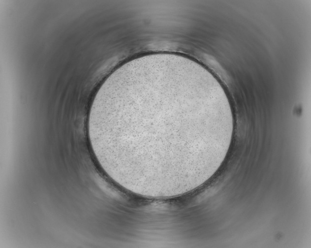 X0000089860441200707262131
